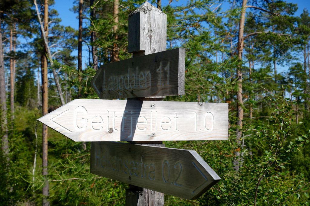 The hiking trails in Bymarka are well marked. 