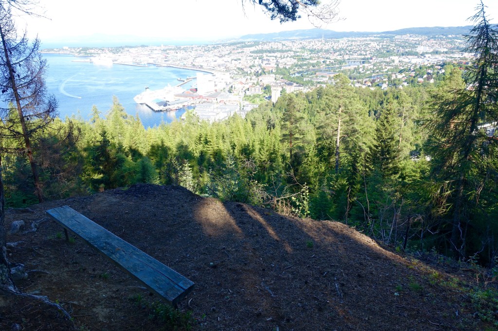 There's plenty of benches around the hiking trails in Bymarka for those who need a rest on their way. This one has the best view. 
