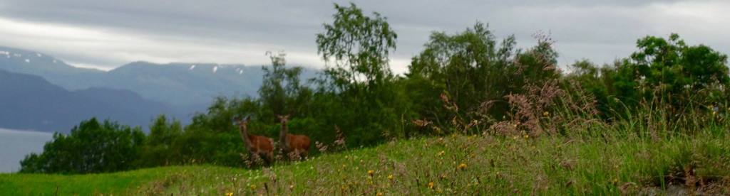Farm Life by the&nbsp;Fjords