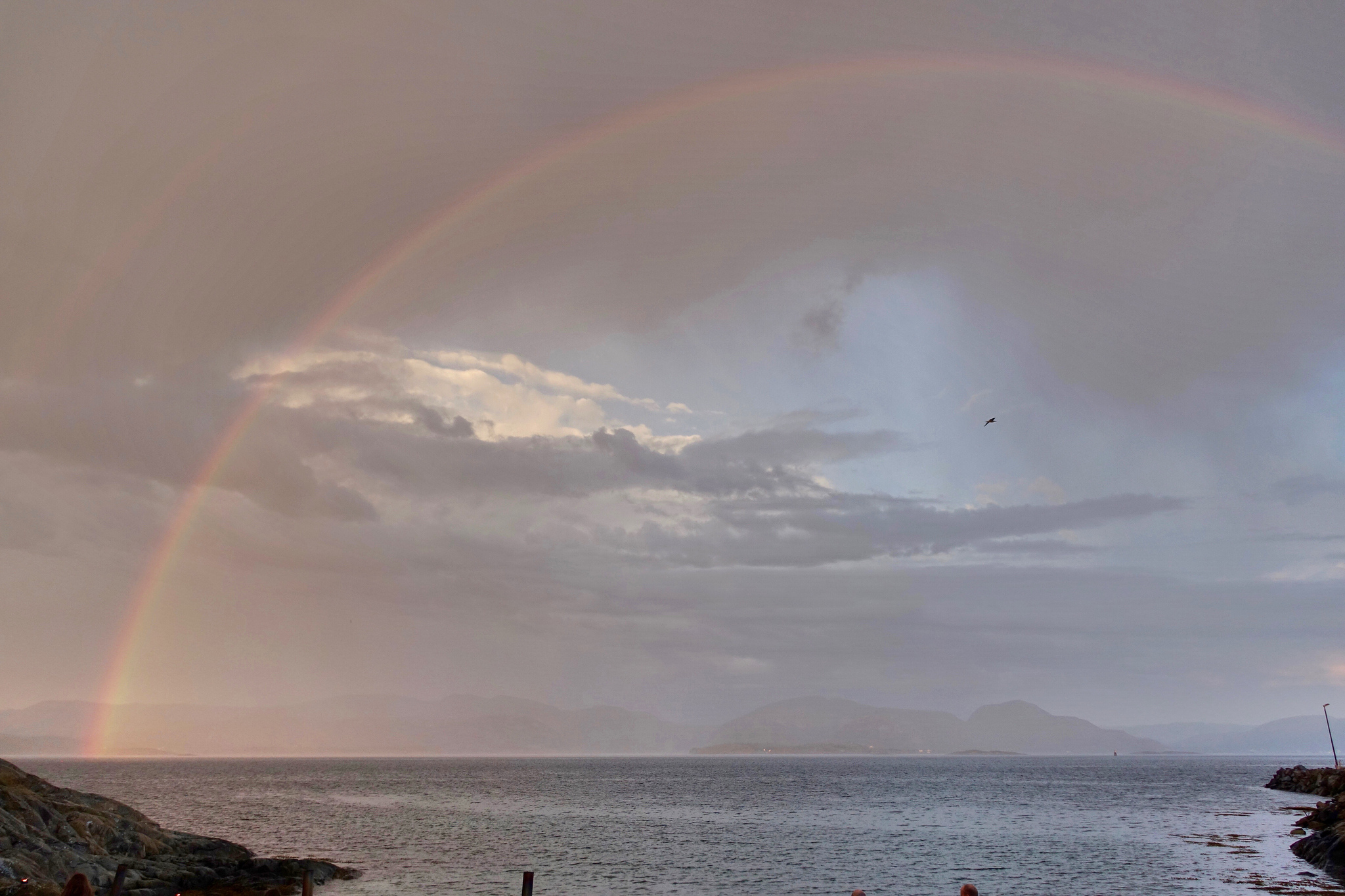 28717896512_d18559bc59_k