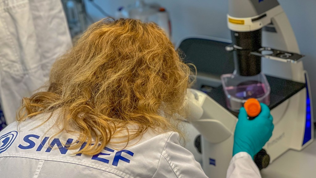 Konkurransekraft vi kan høste enda mer&nbsp;fra