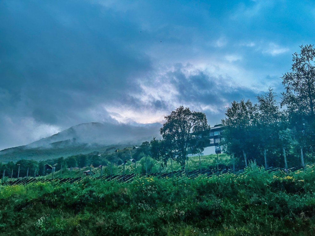 Summer evening, Oppdal